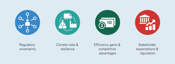 Four round icons, each with a caption underneath: 1. regulatory uncertainty, 2. climate risks & resilience, 3. efficiency gains & advantages, 4. stakeholder expectations & reputation.